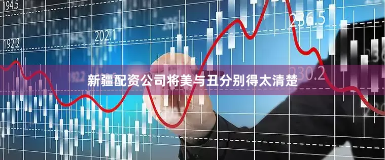 新疆配资公司将美与丑分别得太清楚
