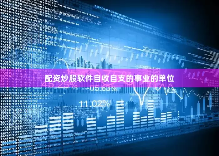 配资炒股软件自收自支的事业的单位