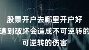 股票开户去哪里开户好一旦遭到破坏会造成不可逆转的伤害