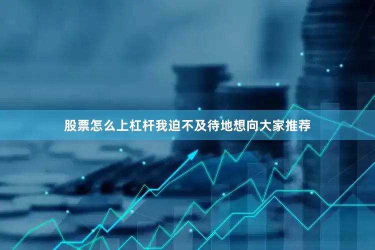股票怎么上杠杆我迫不及待地想向大家推荐